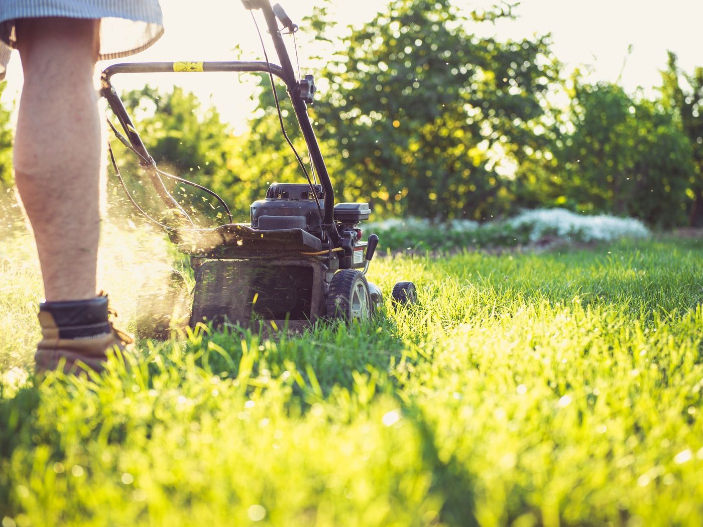 Rasenmäher auf frisch gemähtem Rasen im Hausgarten